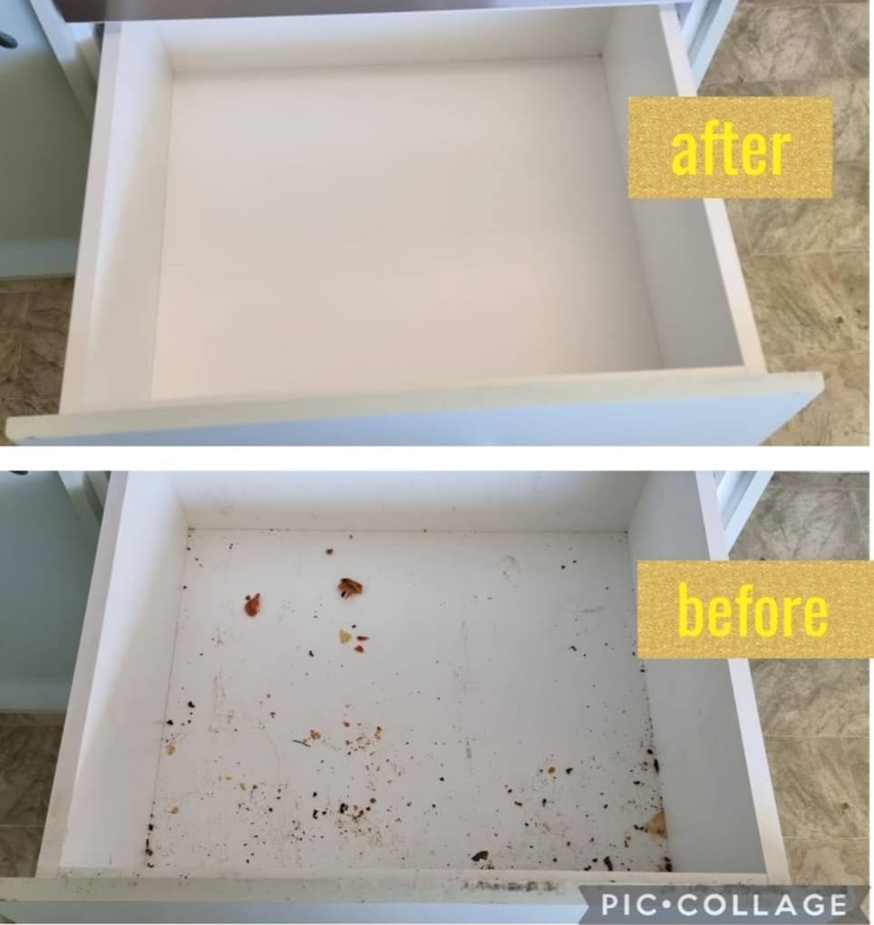 Cleaning gallery image 1