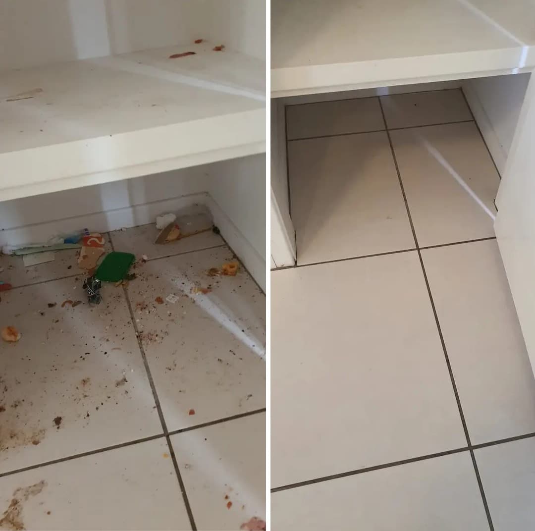 Cleaning gallery image 6