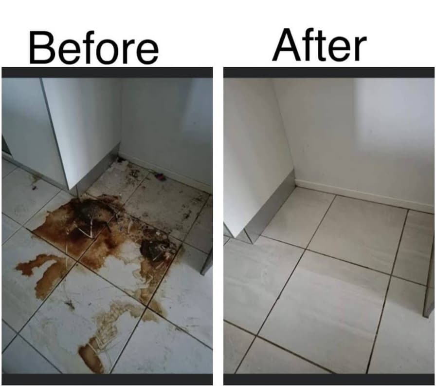 Cleaning gallery image 8