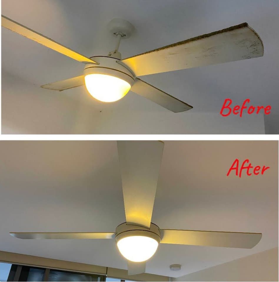 Cleaning gallery image 22